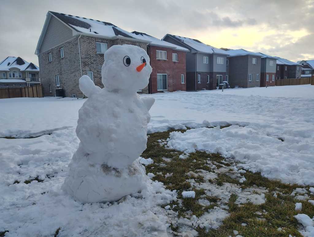 Глазки и Нос-Морковка для Снеговика