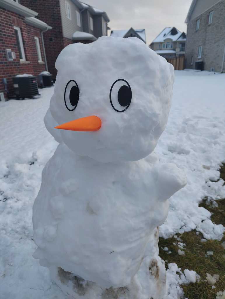 Глазки и Нос-Морковка для Снеговика