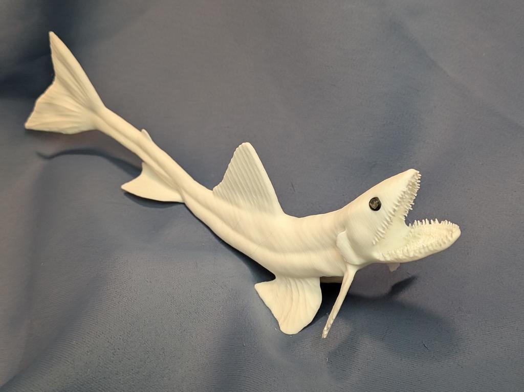 Глубоководный ящеричный рыб - Bathysaurus ferox