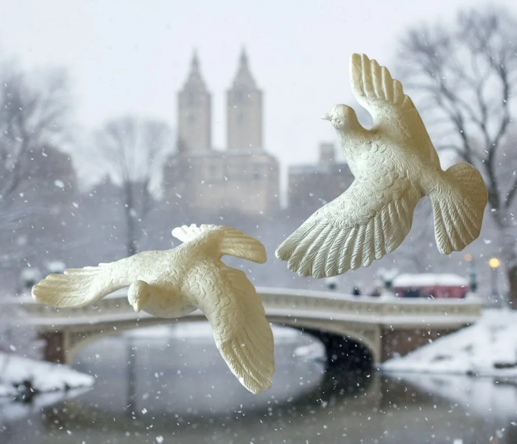 Орнамент из Home Alone 2: Пара черепашковых голубей