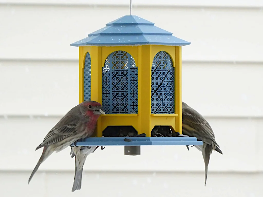 Гнездышко для птиц в стиле беседки