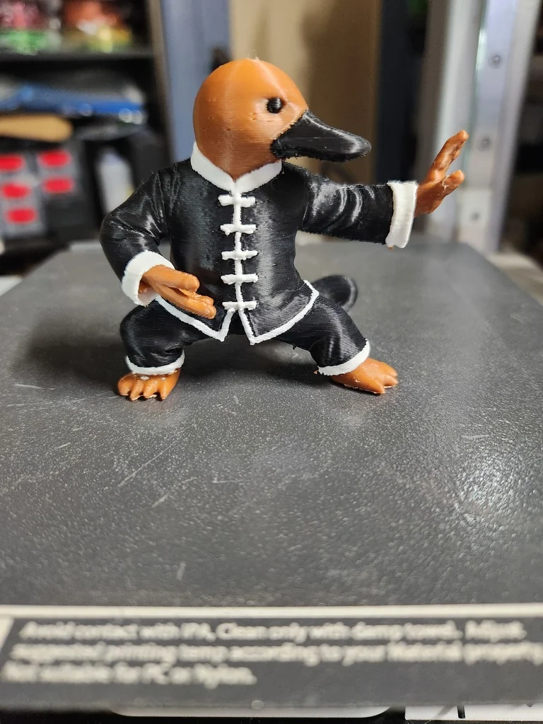 Платипус в Тай Чи