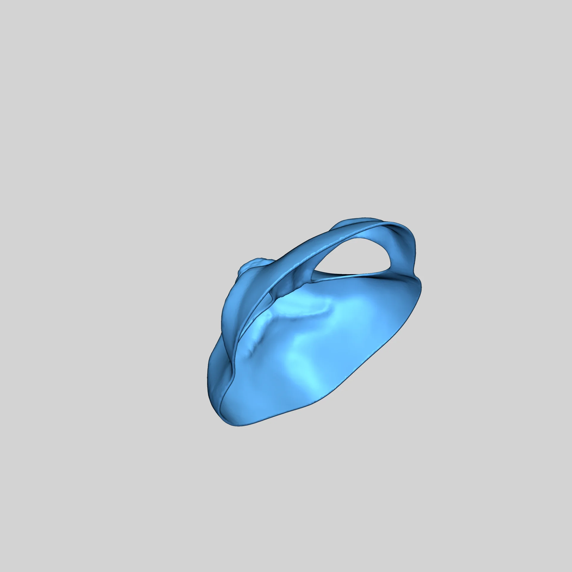 Картунная основа для фурсюта собаки