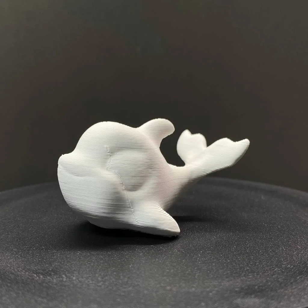 3D Модель Дельфина Little Pet Shop