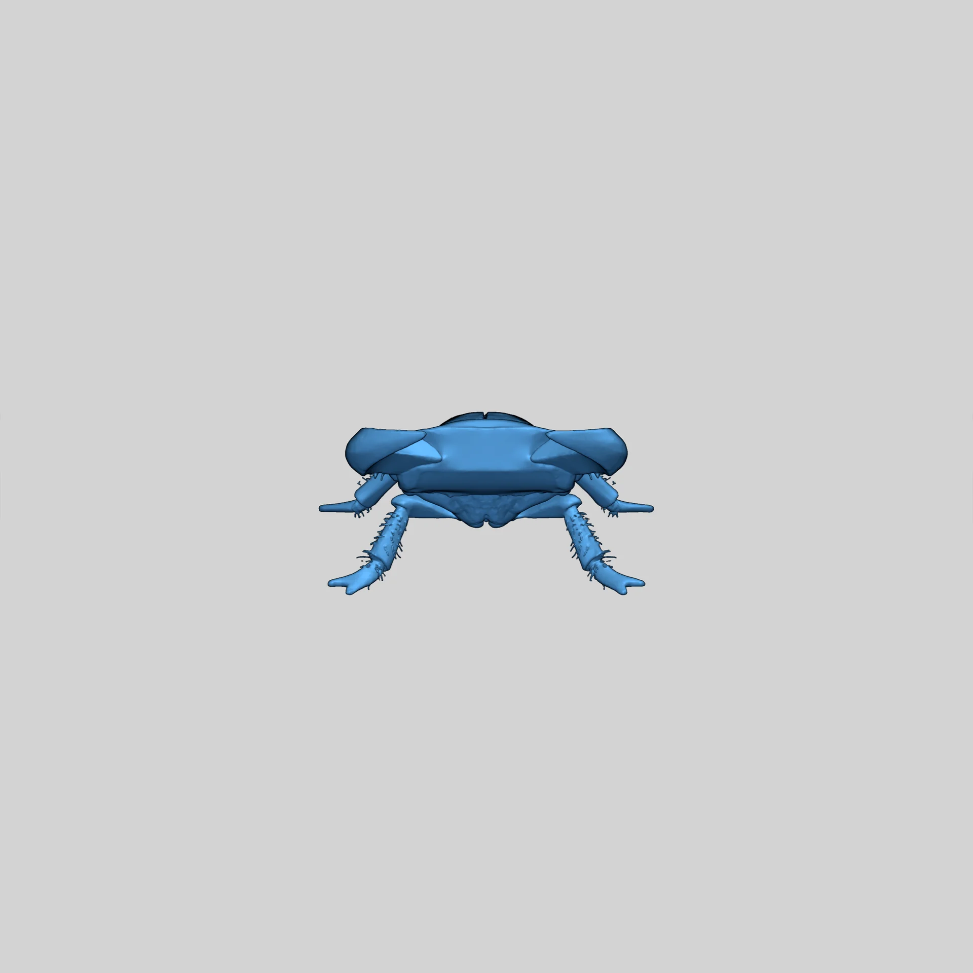 Azure Glyph Beetle - 3D Модель