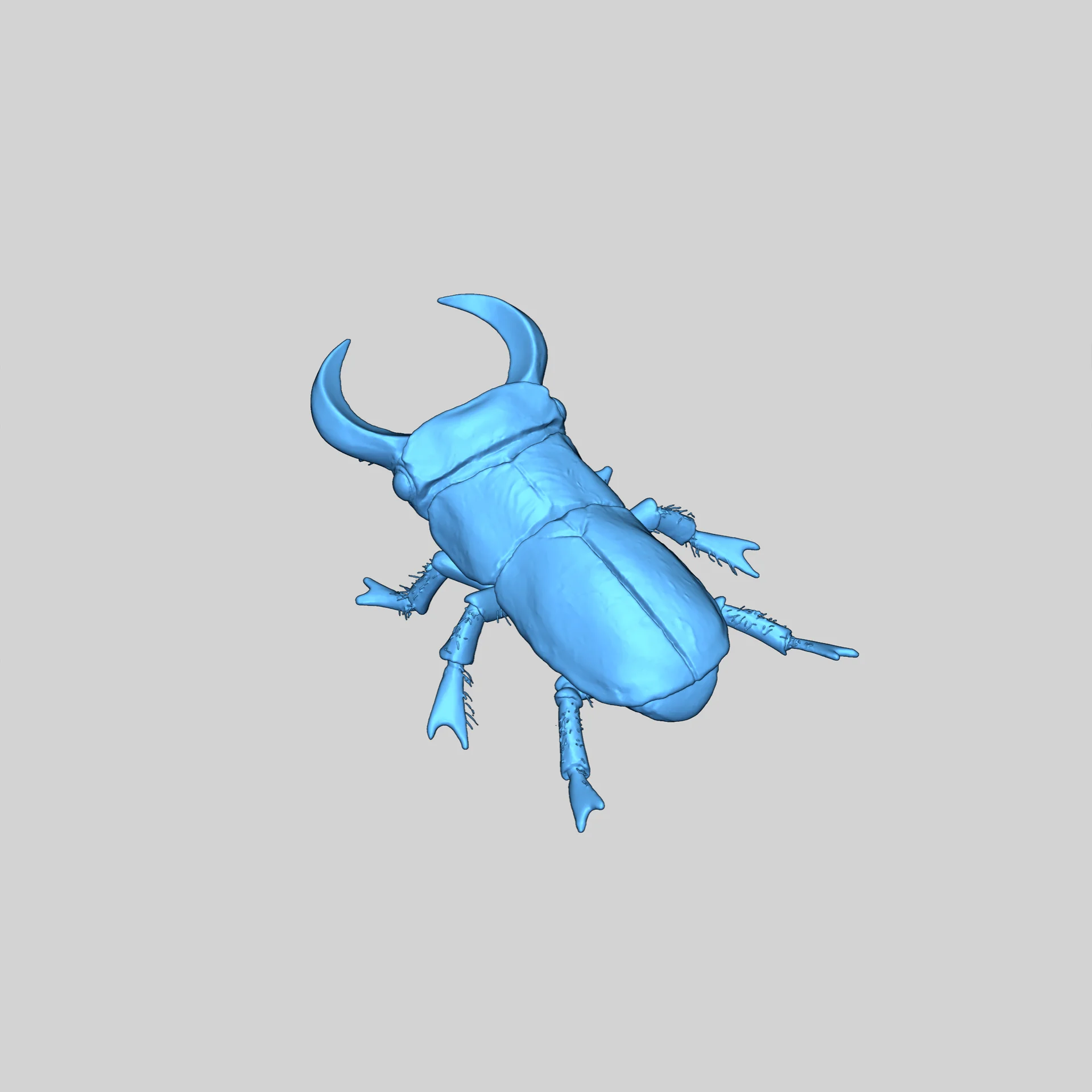 Azure Glyph Beetle - 3D Модель
