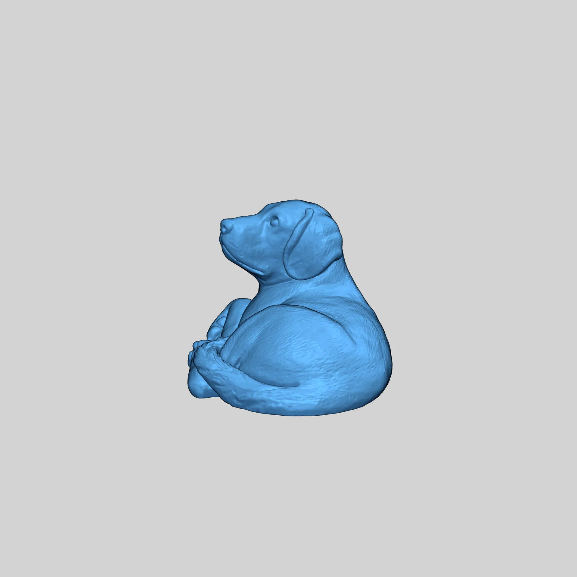 Модель собаки Doggy Dude