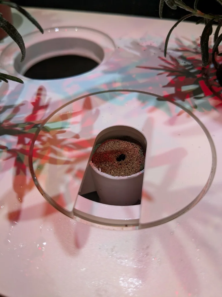 Grow Sponge Pod для Click & Grow