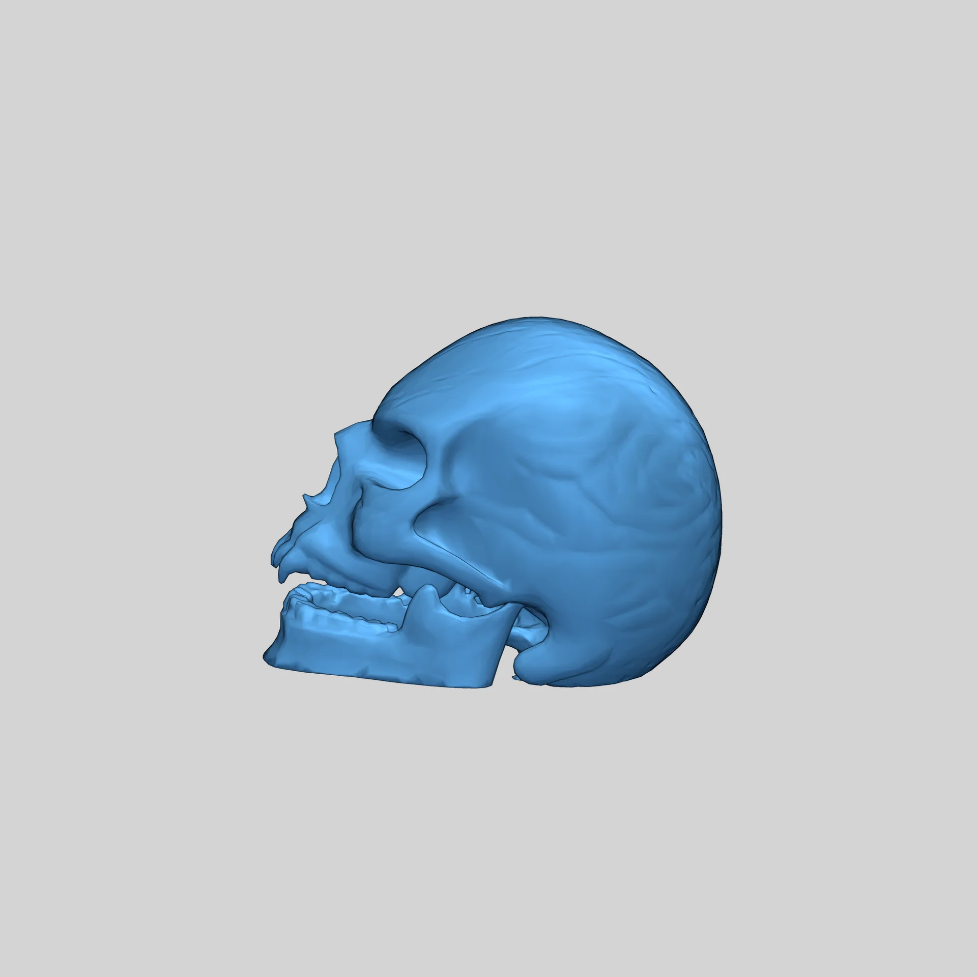 Модель черепа вампира