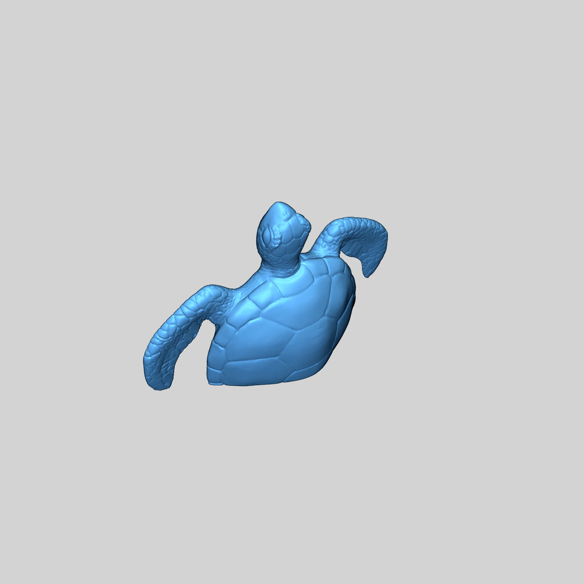 Разделенная модель морской черепахи