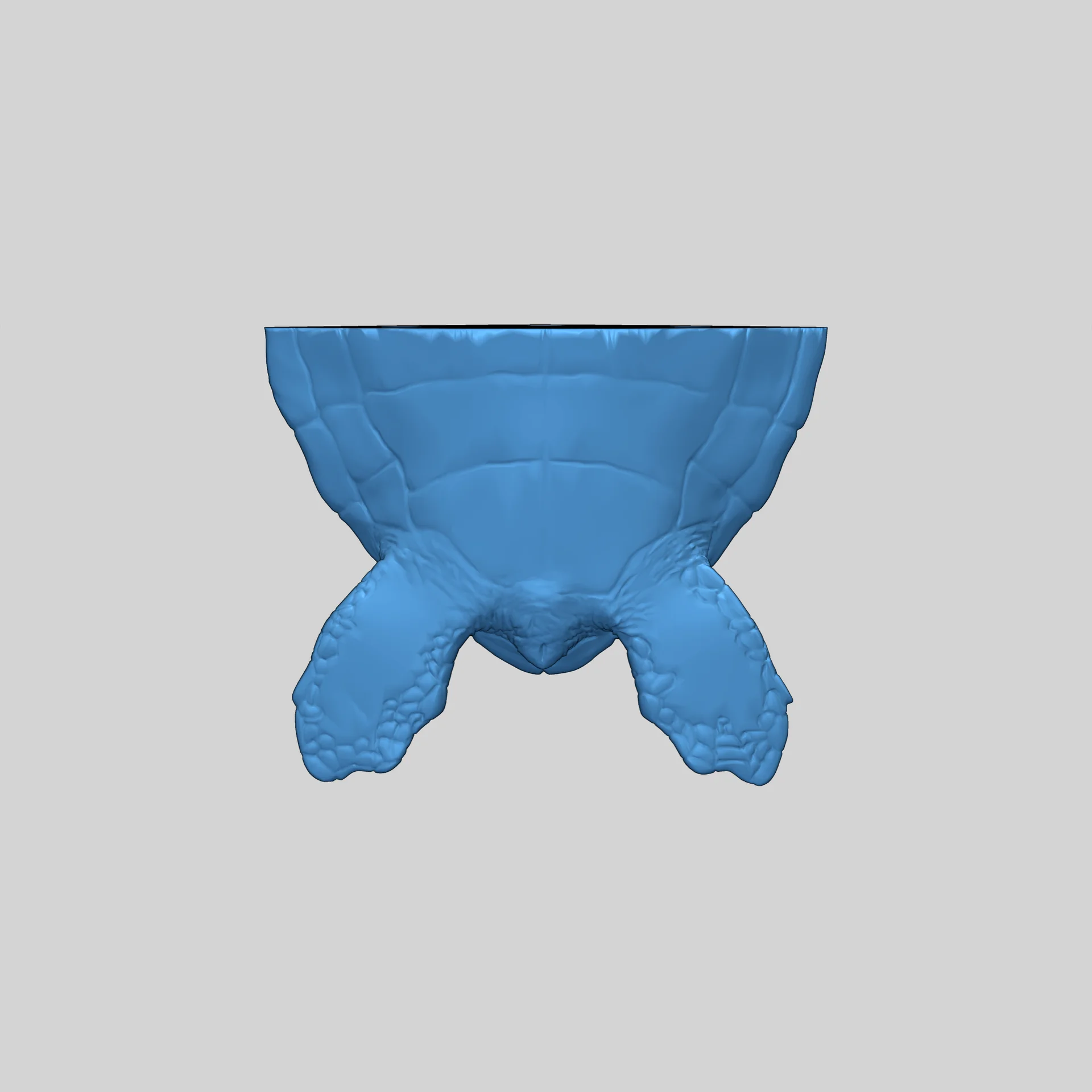 Разделенная модель морской черепахи