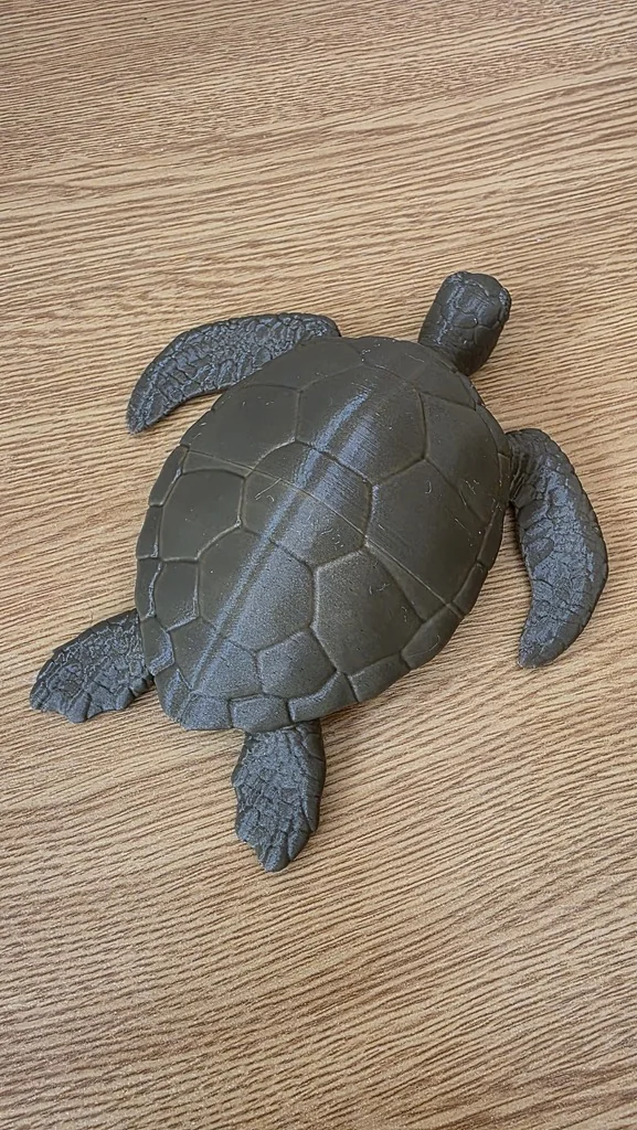 Разделенная модель морской черепахи