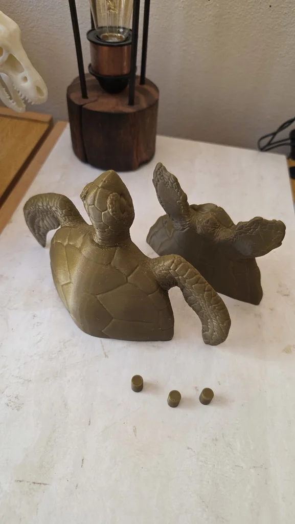 Разделенная модель морской черепахи