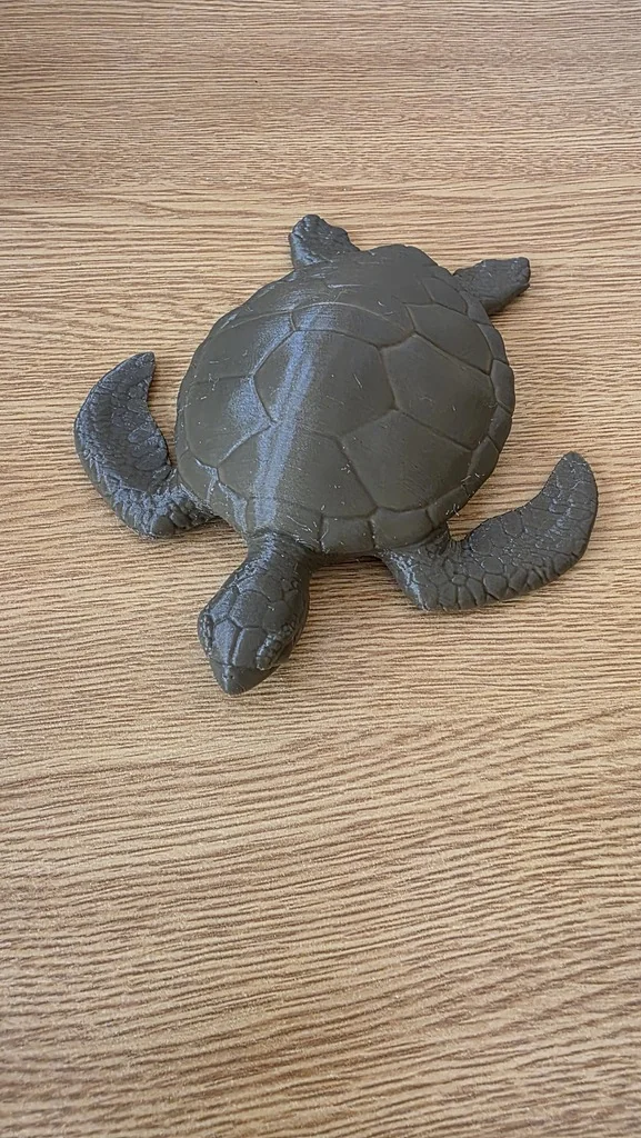 Разделенная модель морской черепахи