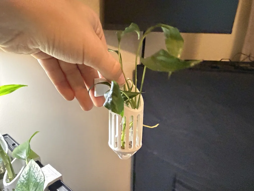 Держатель для растений в аквариуме