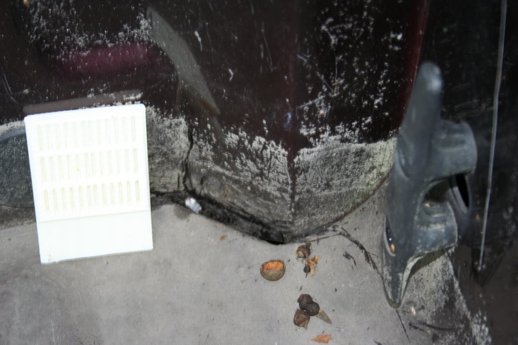 Решетка для Dodge Ram 1500 (2004)