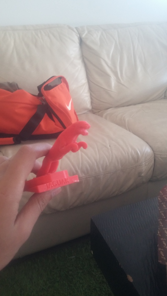 Логотип Jaguar для Hyundai i20