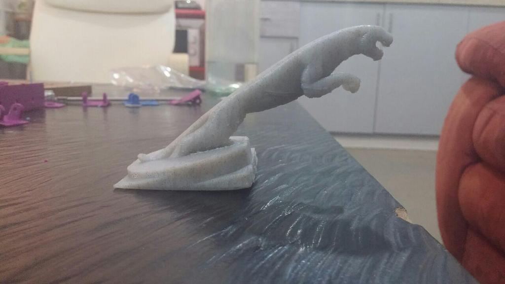 Логотип Jaguar для Hyundai i20