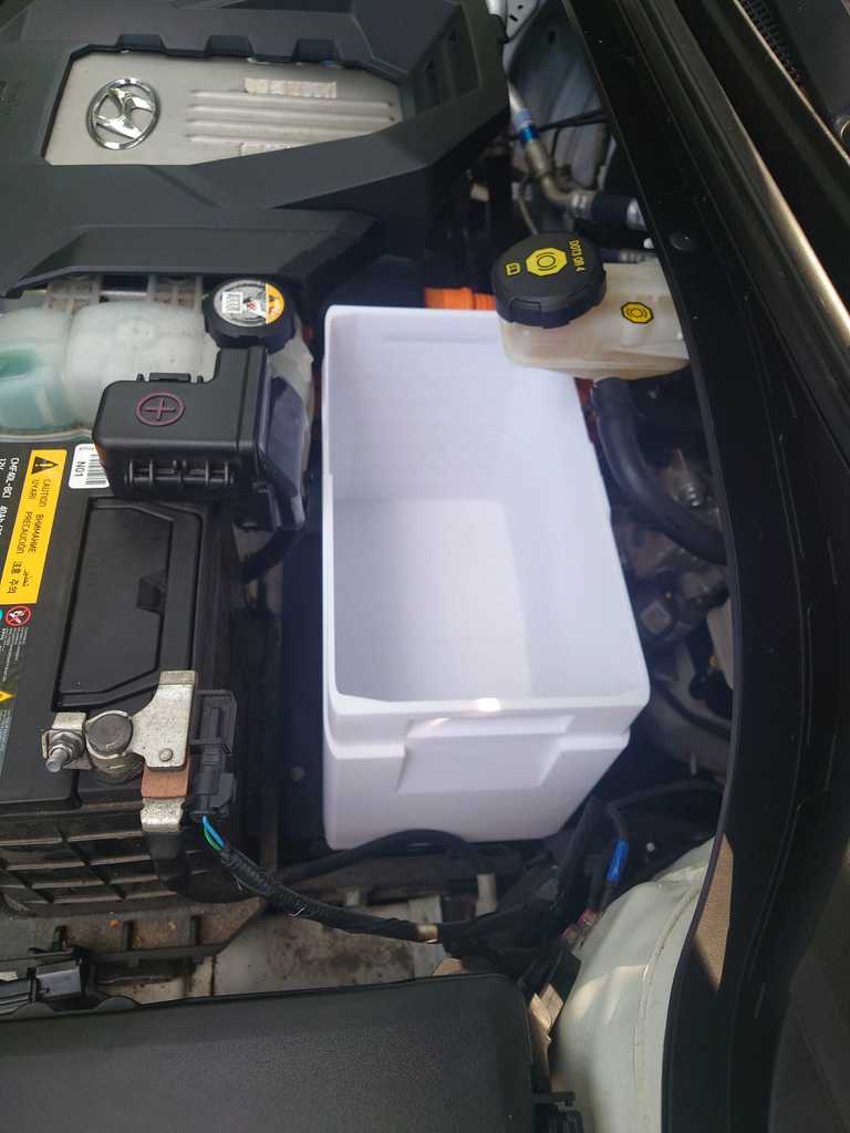 Коробка для Frunk Hayundai Ioniq