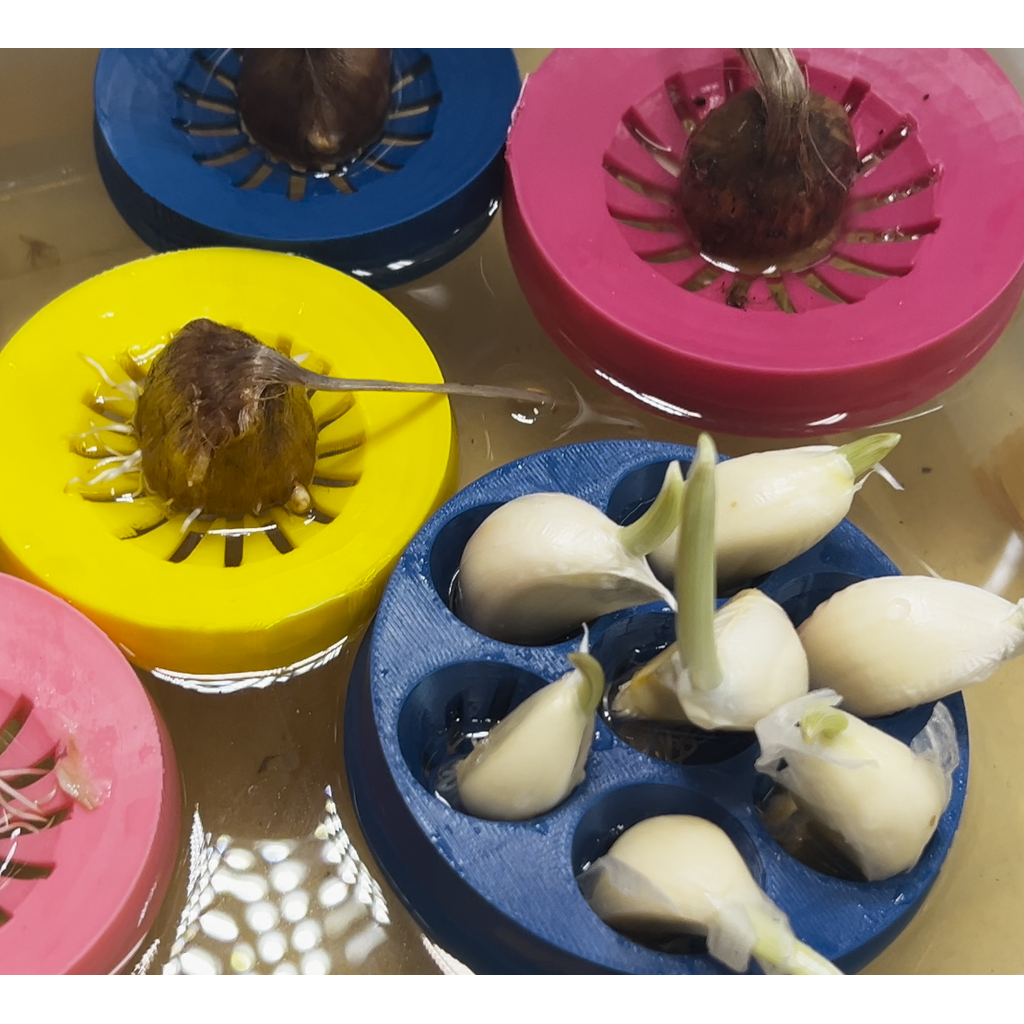 Плавательные рафты для растений