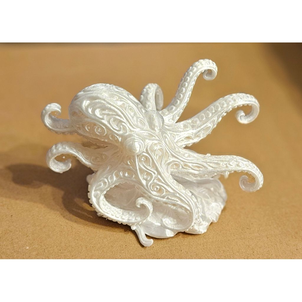 О ornate-осьминог 3D-модели