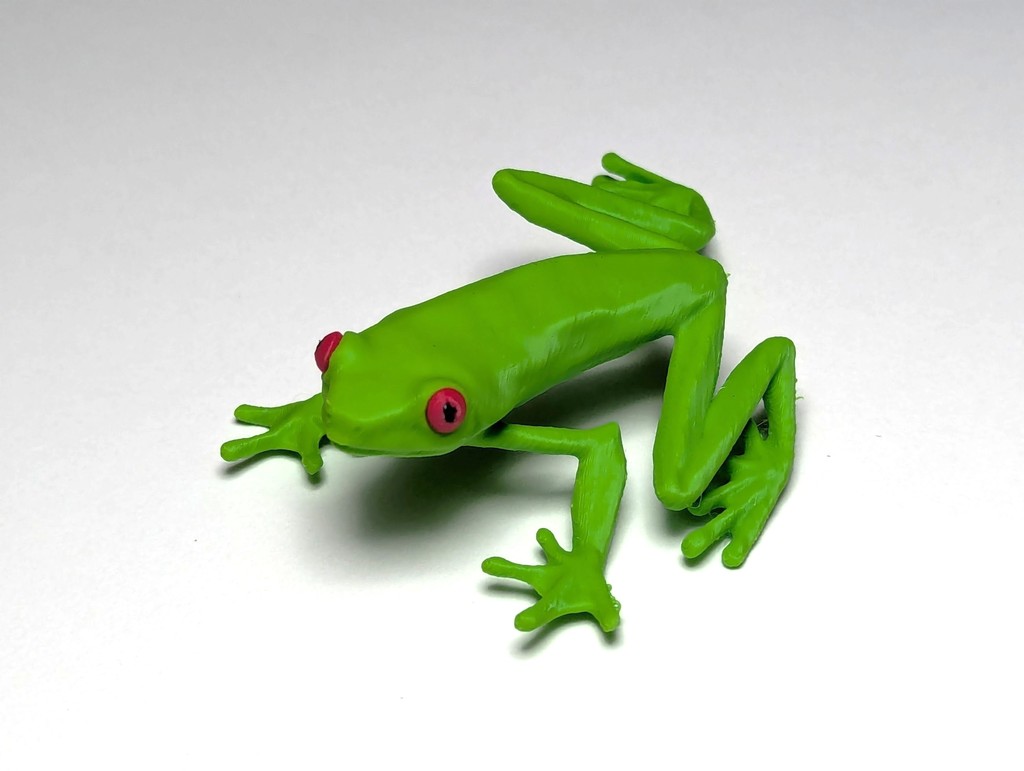 Красноглазая древесная лягушка (Agalychnis callidryas)