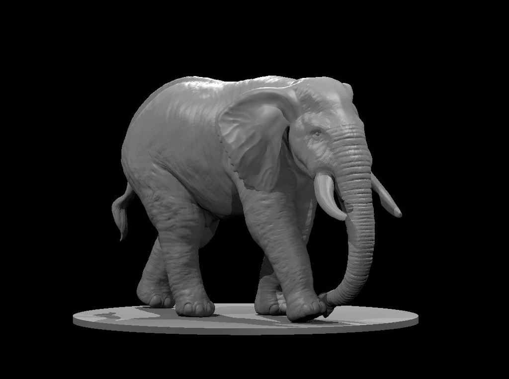 Модель слона 2025