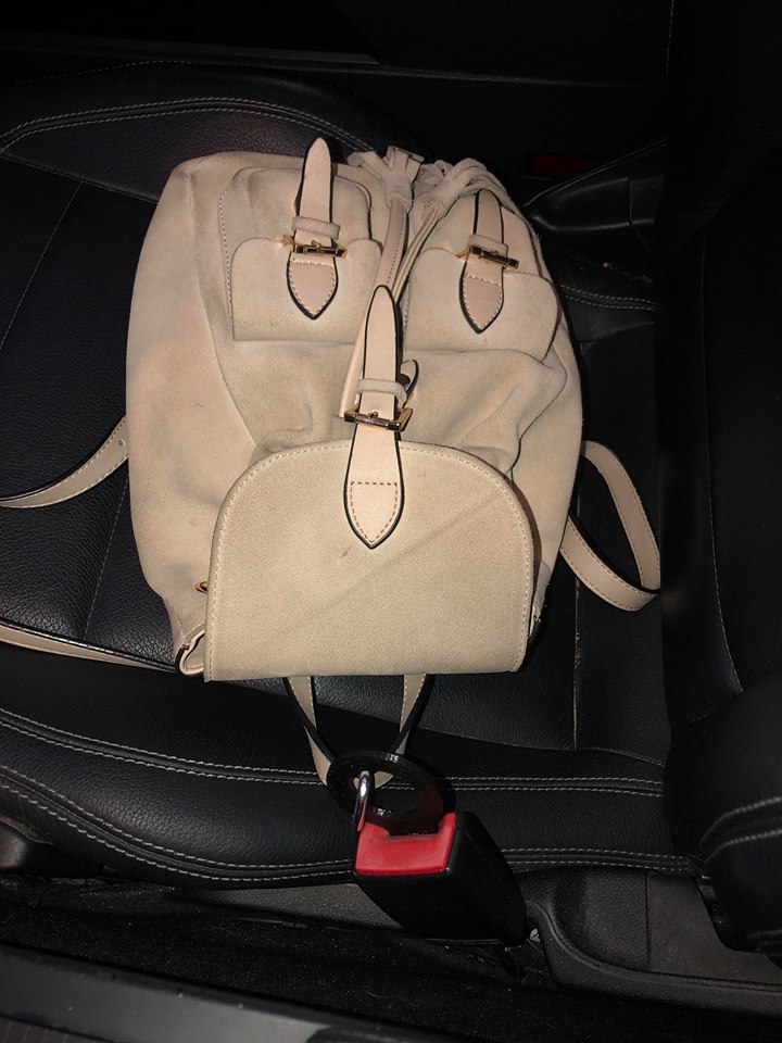 Крепление для сумки и собаки