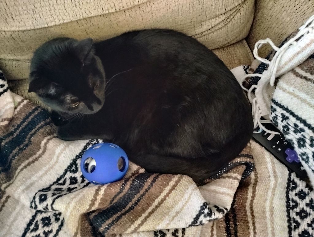 Игрушка для кошек