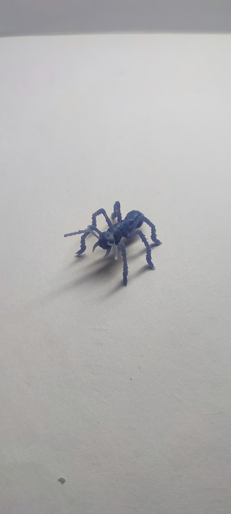 Гигантский муравей