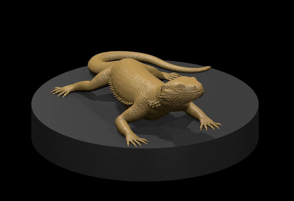 3D модель ящерицы с бородой