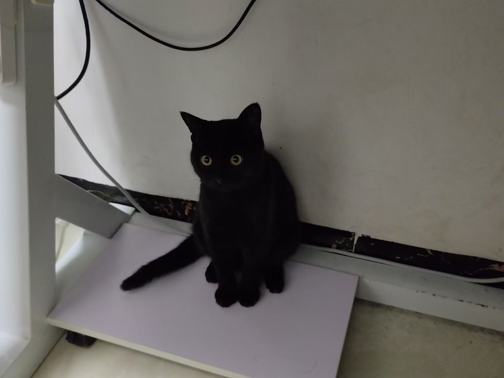 Адаптер для крепления дисплея на штативе