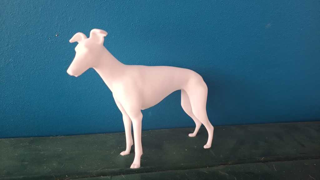 Стоящий грейхаунд