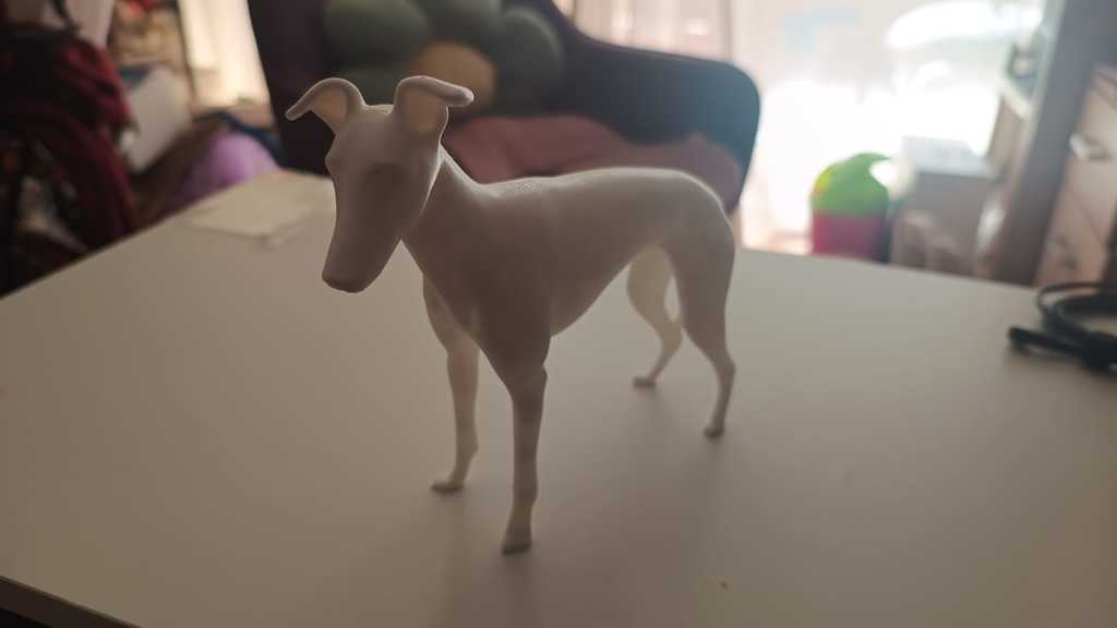 Стоящий грейхаунд