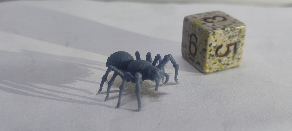 Охотничий паук