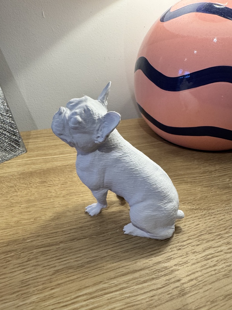 Сидящий французский бульдог