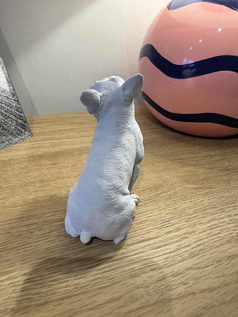 Сидящий французский бульдог