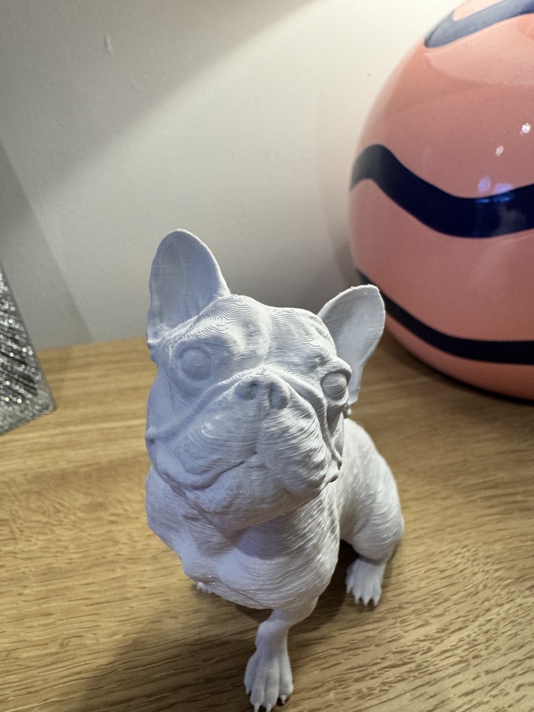 Сидящий французский бульдог