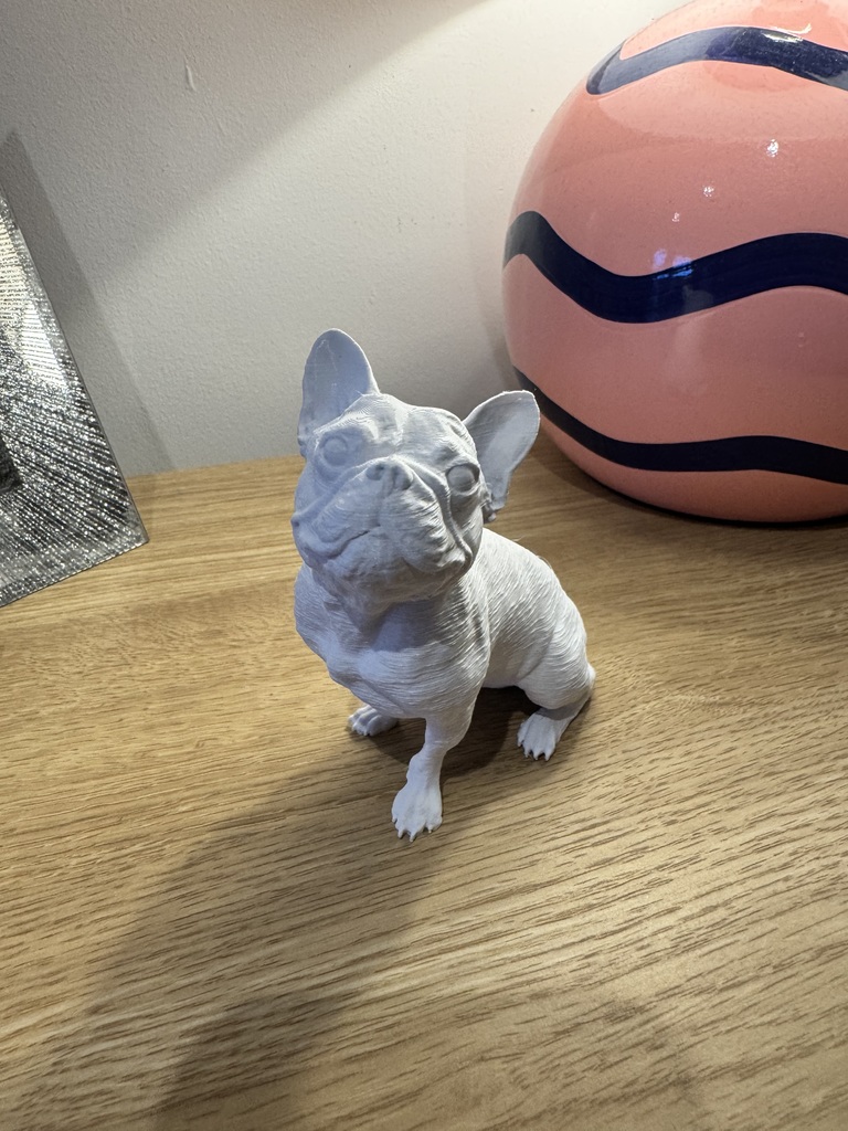 Сидящий французский бульдог