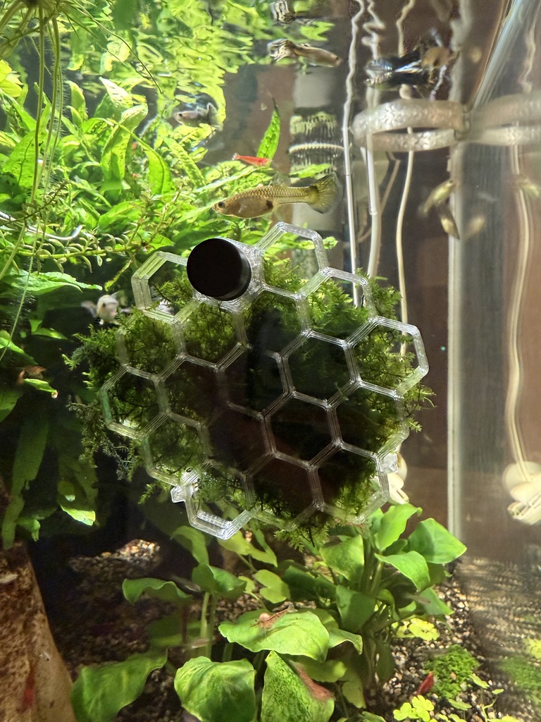 Шестиугольная моховая стена для аквариума с магнитным креплением