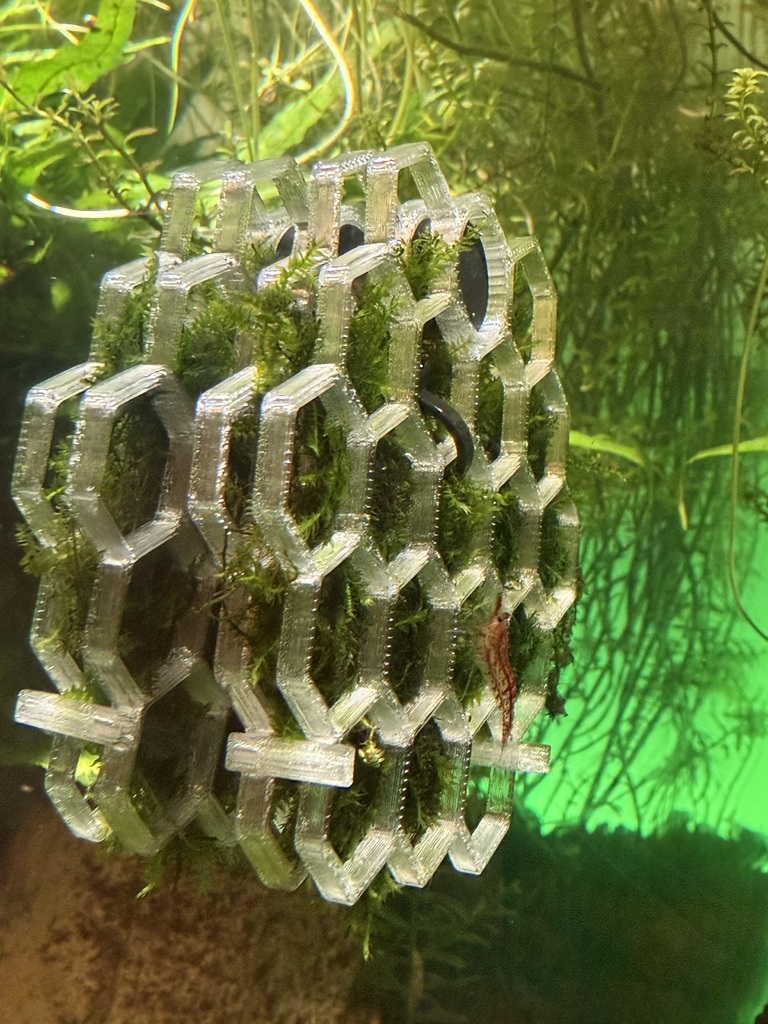 Шестиугольная моховая стена для аквариума с магнитным креплением