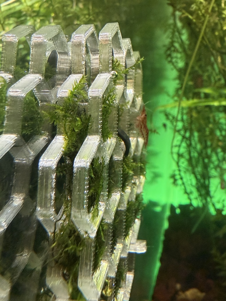 Шестиугольная моховая стена для аквариума с магнитным креплением