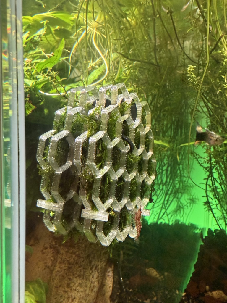 Шестиугольная моховая стена для аквариума с магнитным креплением