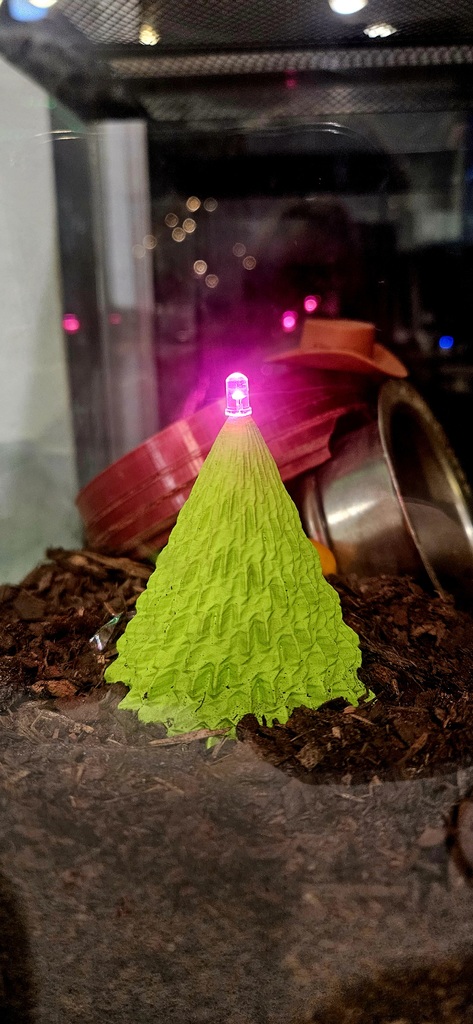 3D модель Рождественской елки