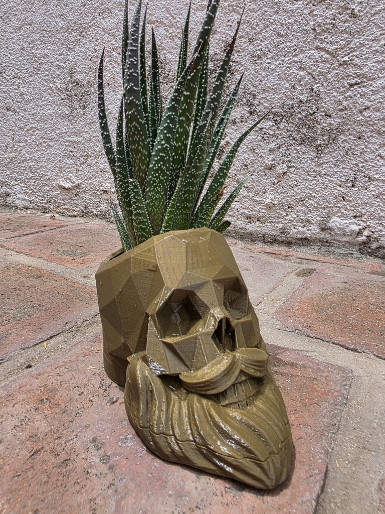 Кашпо в виде черепа с бородой