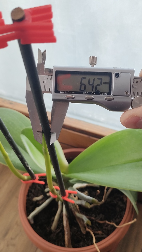 Зажим для поддержки орхидеи