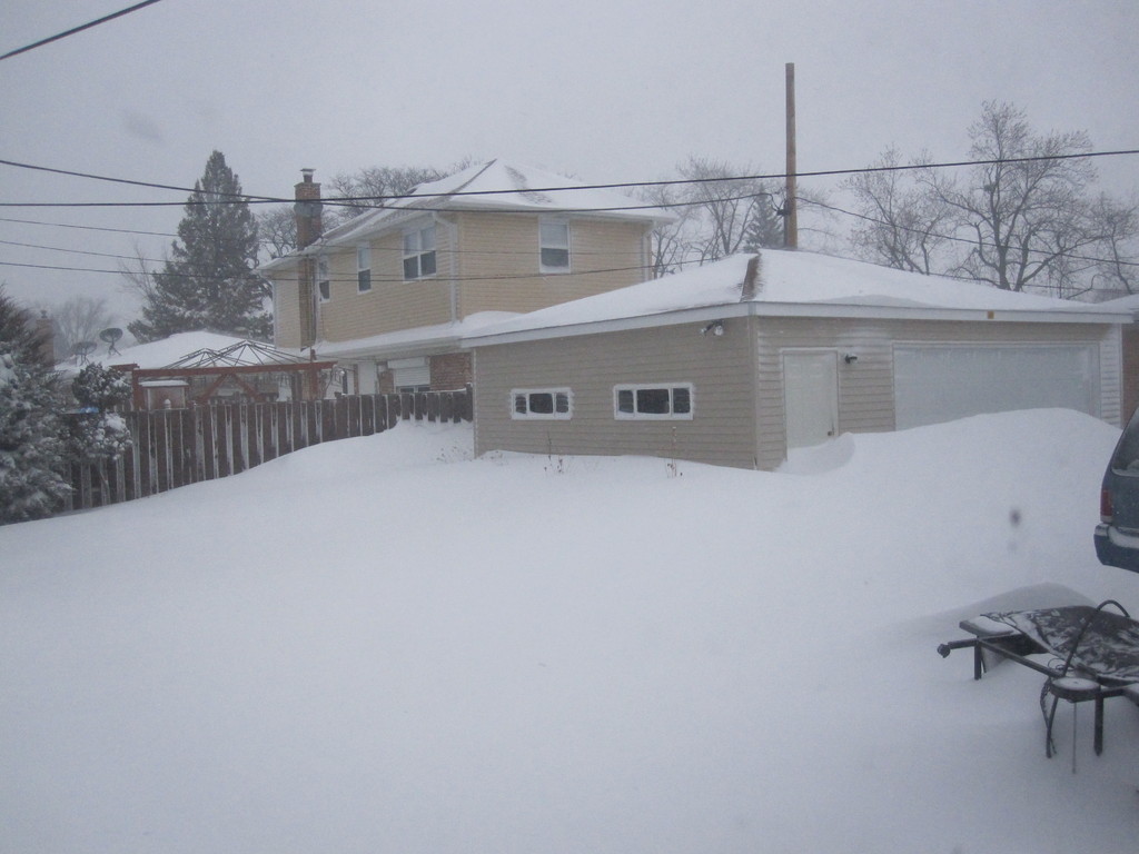 Носимые снежные снегоступы