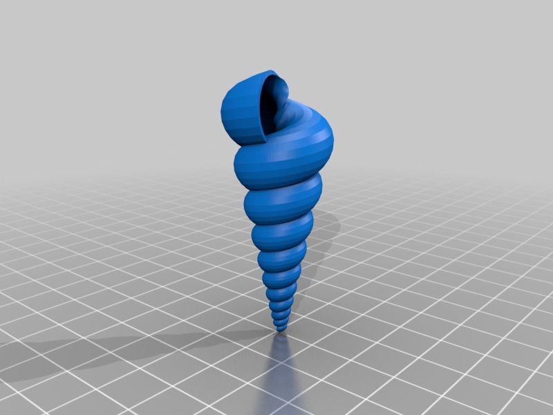 3D модель раковины Turritella