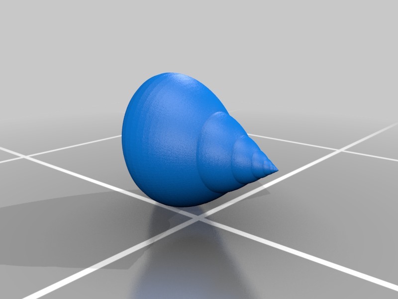 3D модель ракушки Oxystele sinensis